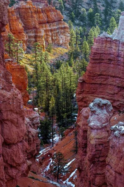 USA, Utah, Bryce Canyon NP Close-up of hoodoos